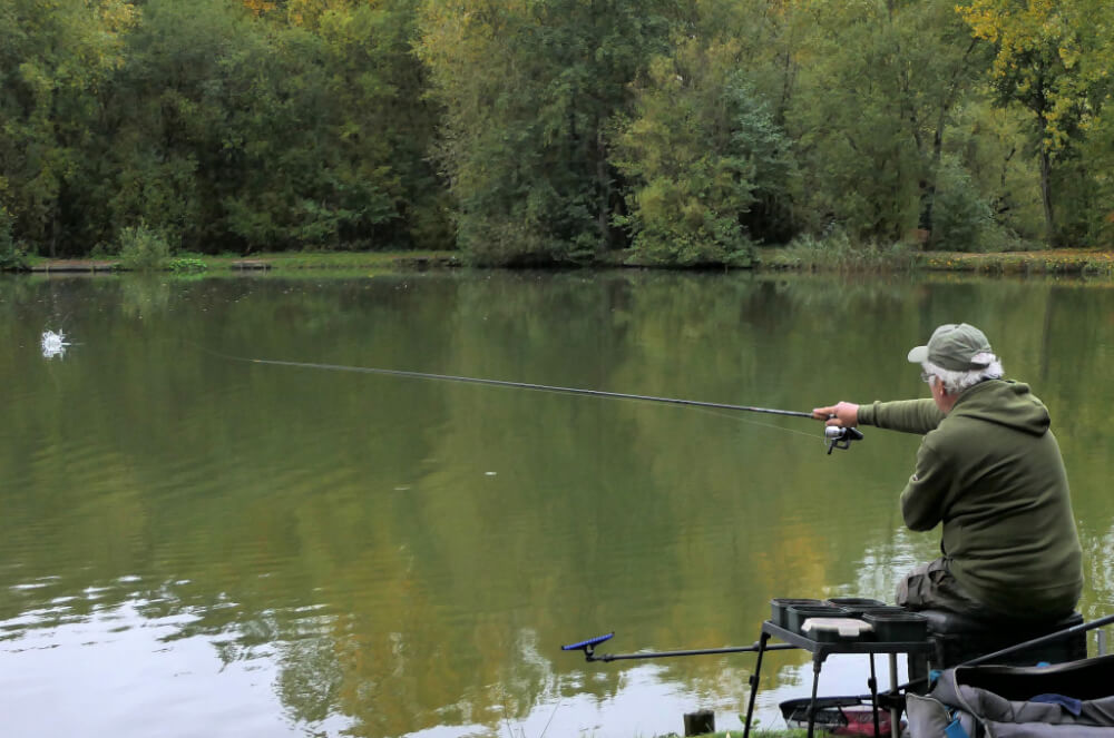 how bait attracts fish