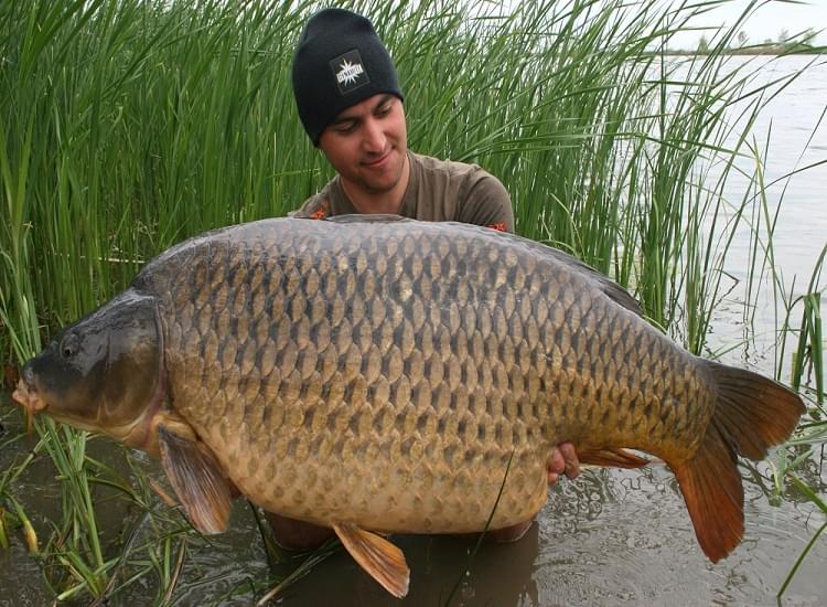 While Fishing Feeding Tactics is Good Thinking